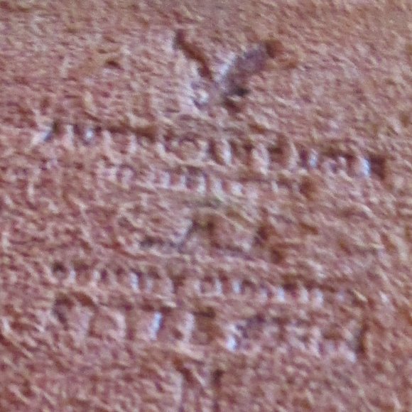 American Eagle Outfitters Leather Belt - Picture 5 of 10